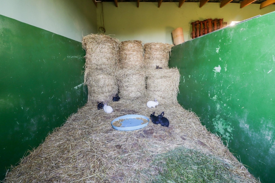 Commercial Property for Sale in Rondevlei Western Cape